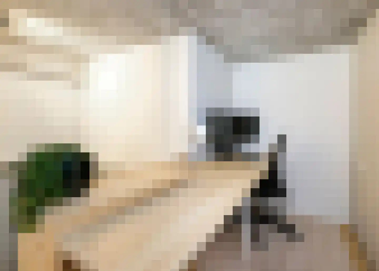 Hendrik Ringershof 8 Alkmaar thumbnail 20
