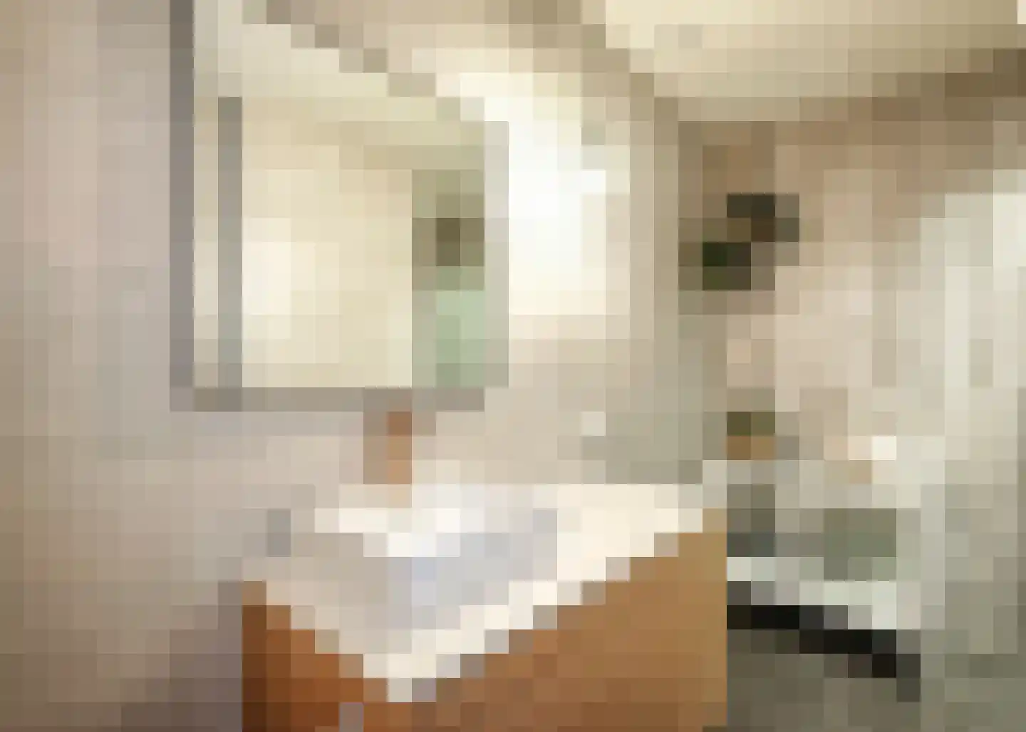 Hendrik Ringershof 8 Alkmaar thumbnail 22