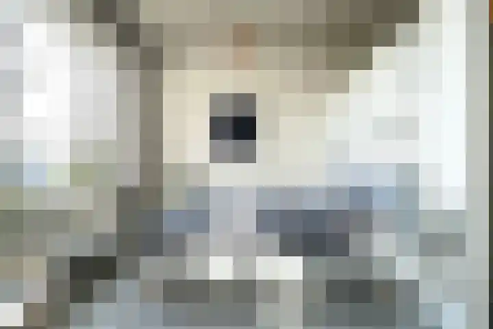 Hendrik Ringershof 8 Alkmaar thumbnail 22