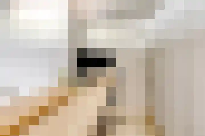 Hendrik Ringershof 8 Alkmaar thumbnail 28