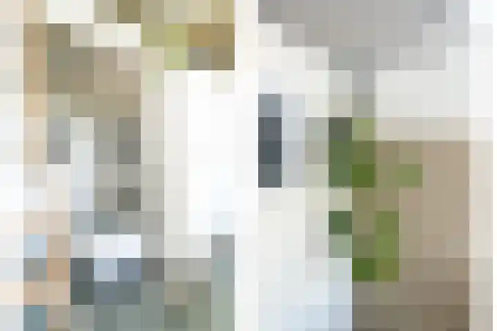 Hendrik Ringershof 8 Alkmaar thumbnail 32