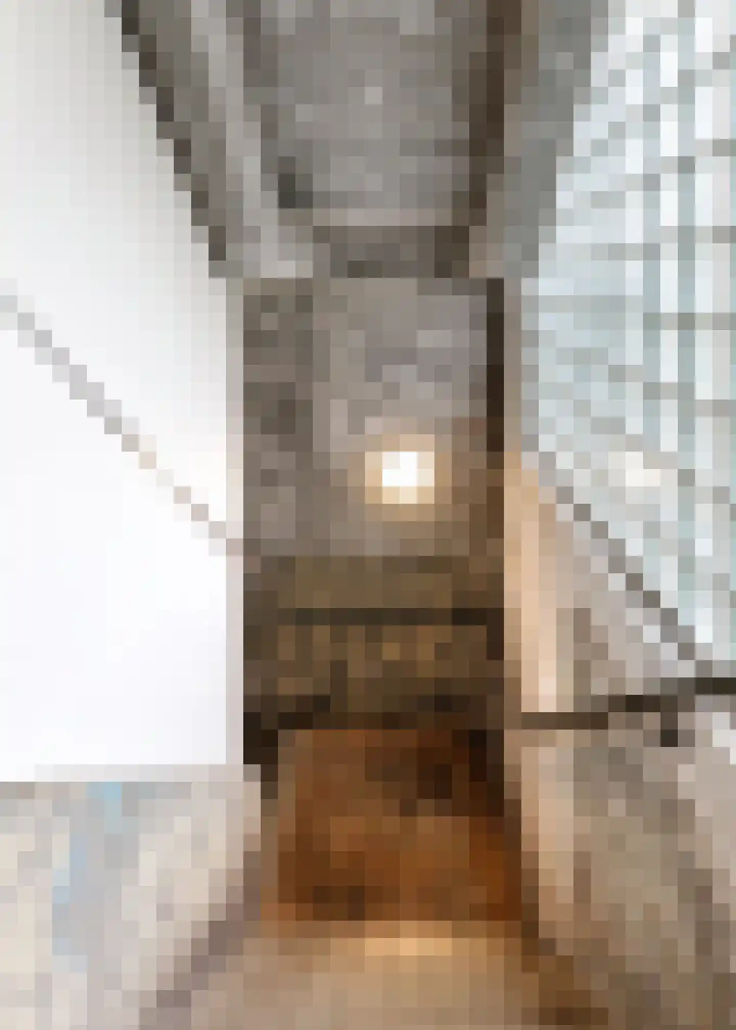 Hendrik Ringershof 8 Alkmaar thumbnail 32