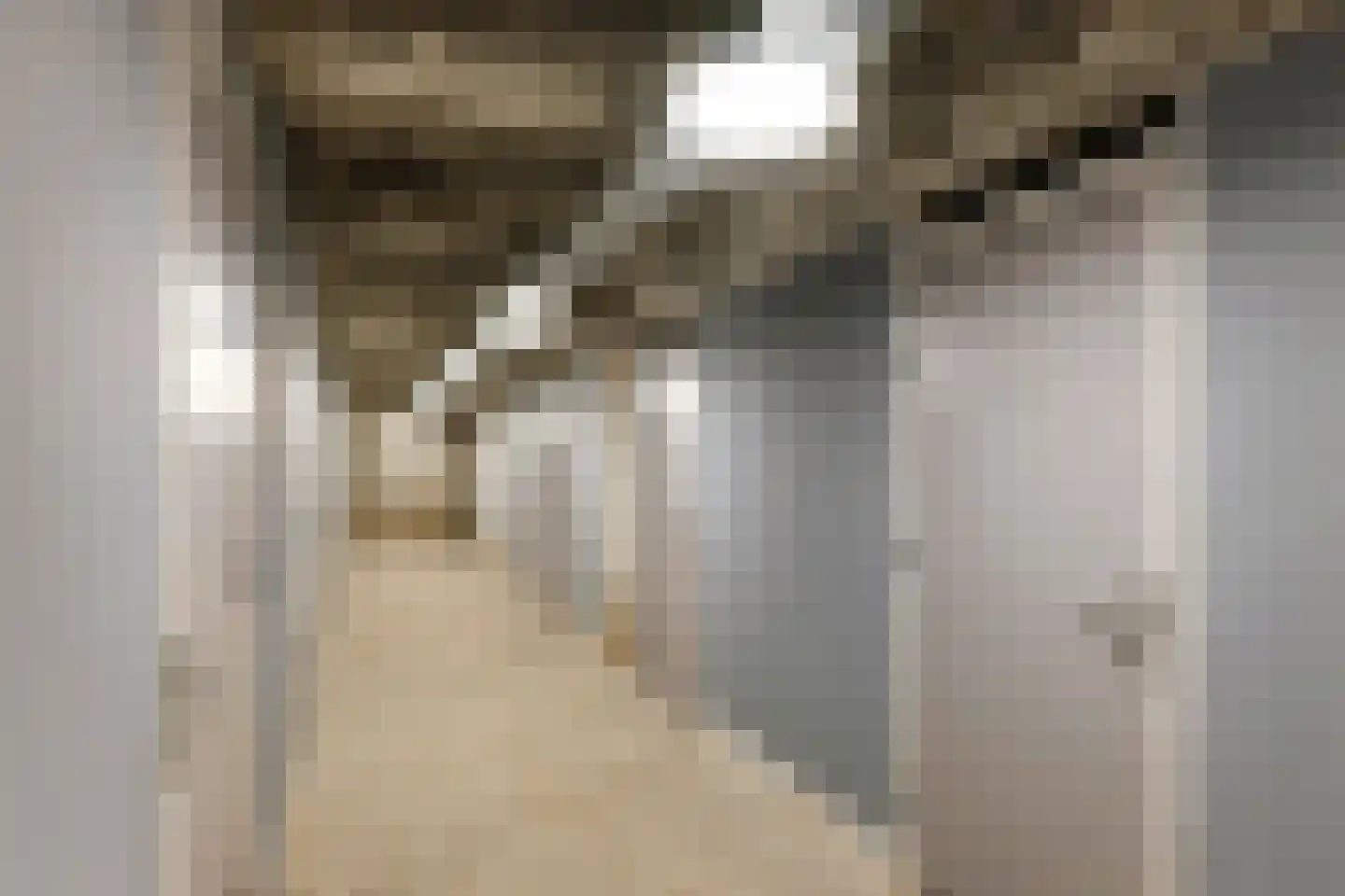 Hendrik Ringershof 8 Alkmaar thumbnail 34