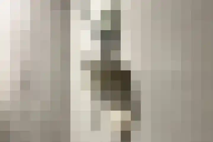 Hendrik Ringershof 8 Alkmaar thumbnail 38