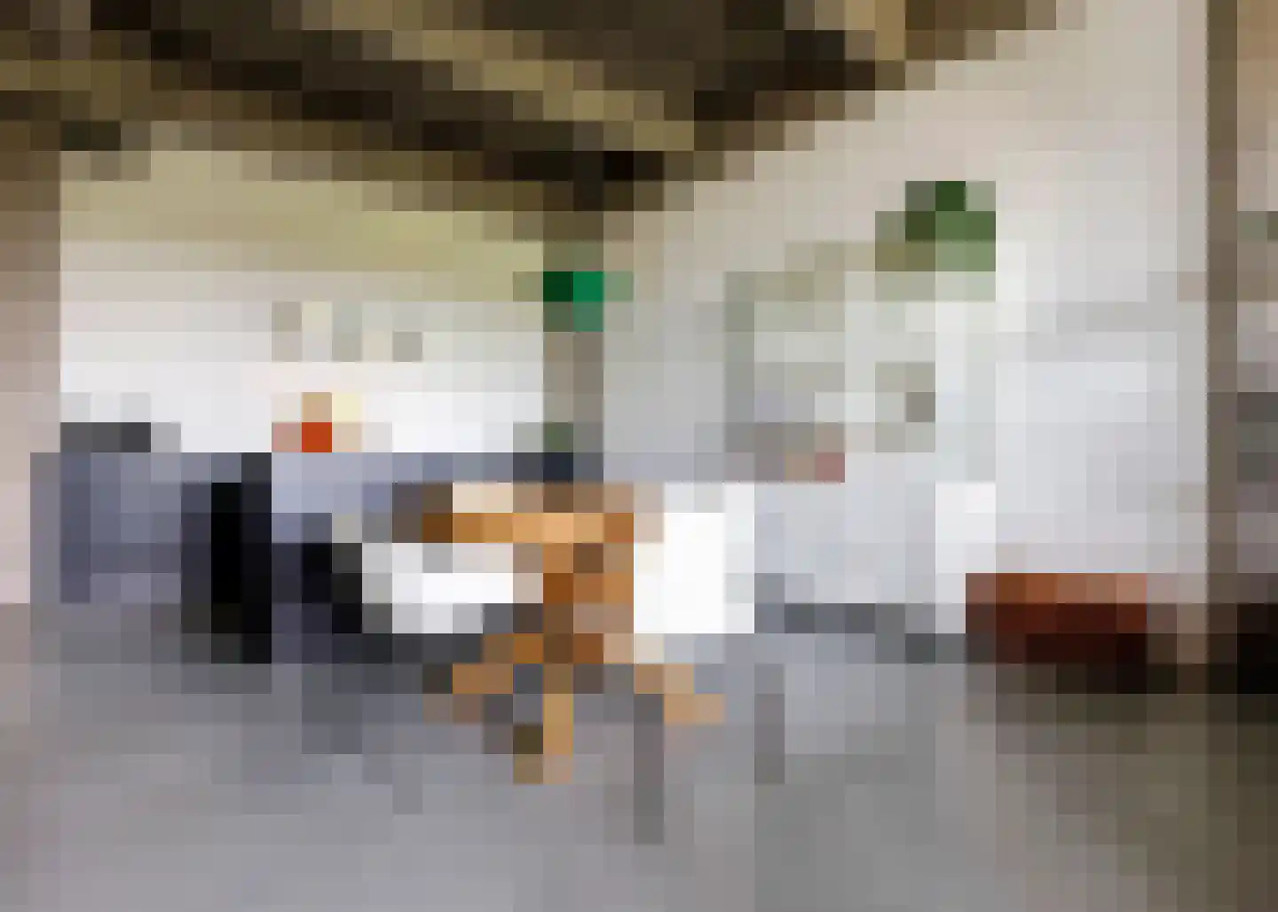 Hendrik Ringershof 8 Alkmaar thumbnail 6