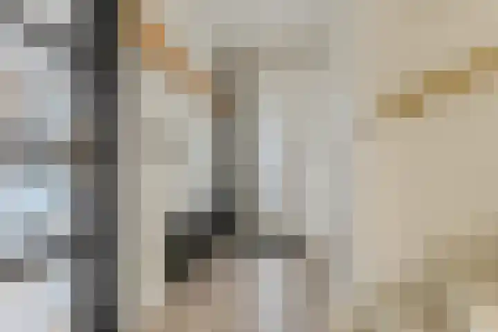 Hendrik Schaarstraat 18 Zaandijk thumbnail 10