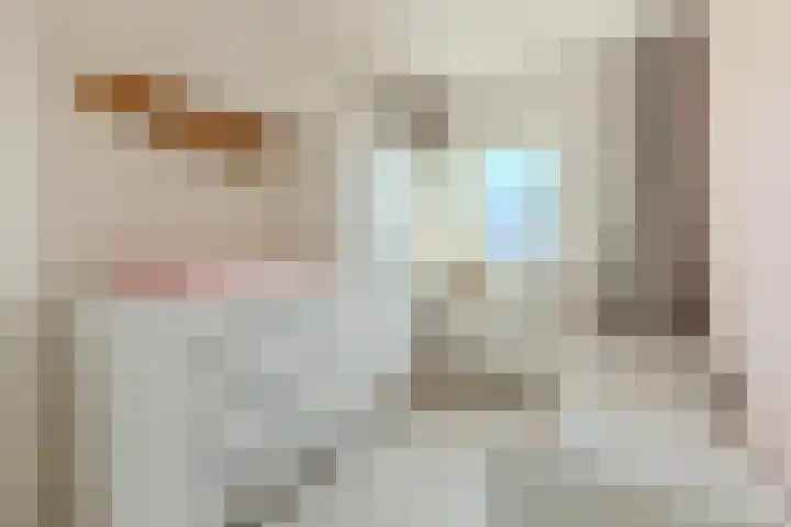 Hendrik Schaarstraat 18 Zaandijk thumbnail 13