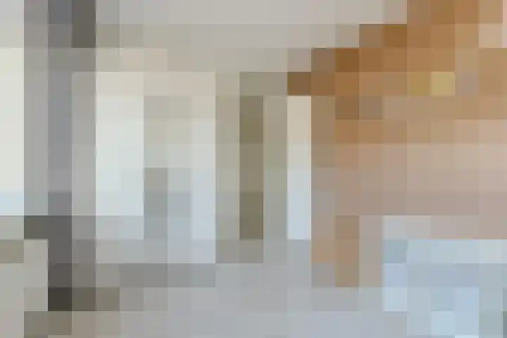 Hendrik Schaarstraat 18 Zaandijk thumbnail 18
