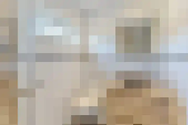 Hendrik Schaarstraat 18 Zaandijk thumbnail 20