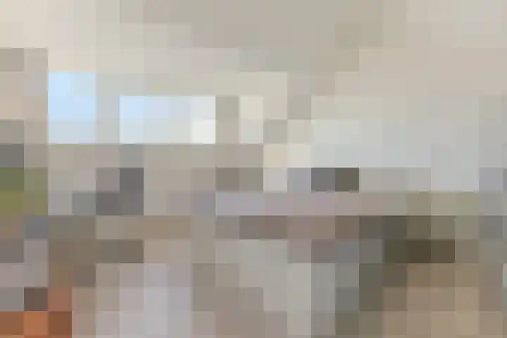 Hendrik Schaarstraat 18 Zaandijk thumbnail 22
