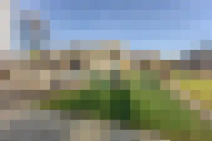 Hendrik Schaarstraat 18 Zaandijk thumbnail 32