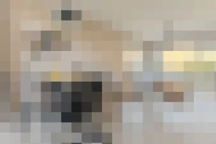 Hendrik Schaarstraat 18 Zaandijk thumbnail 5