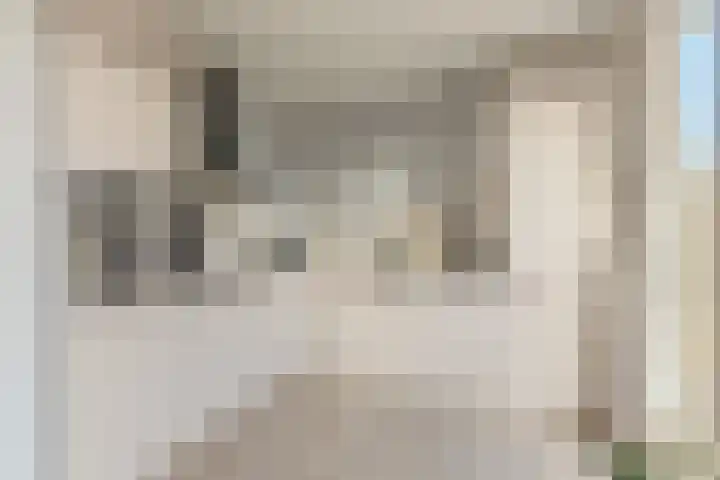 Hendrik Schaarstraat 18 Zaandijk thumbnail 7