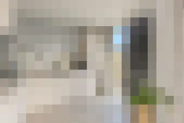 Hendrik Schaarstraat 18 Zaandijk thumbnail 8