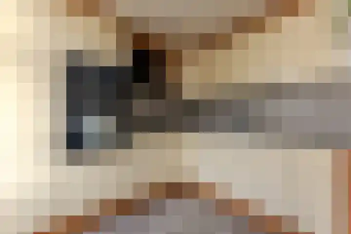 Hendrik Schaarstraat 8 Zaandijk thumbnail 10