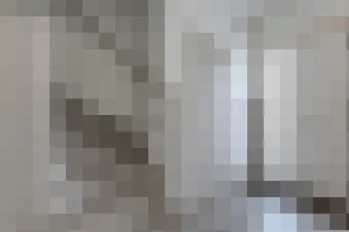 Hendrik Schaarstraat 8 Zaandijk thumbnail 11