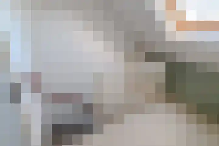 Hendrik Schaarstraat 8 Zaandijk thumbnail 19
