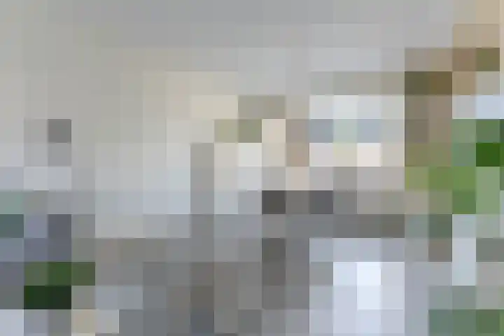 Hendrik Schaarstraat 8 Zaandijk thumbnail 7
