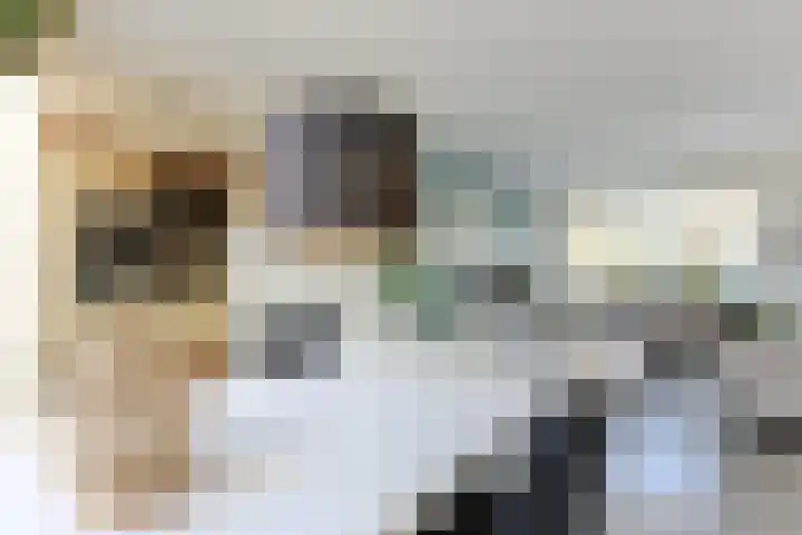 Hendrik Schaarstraat 8 Zaandijk thumbnail 8