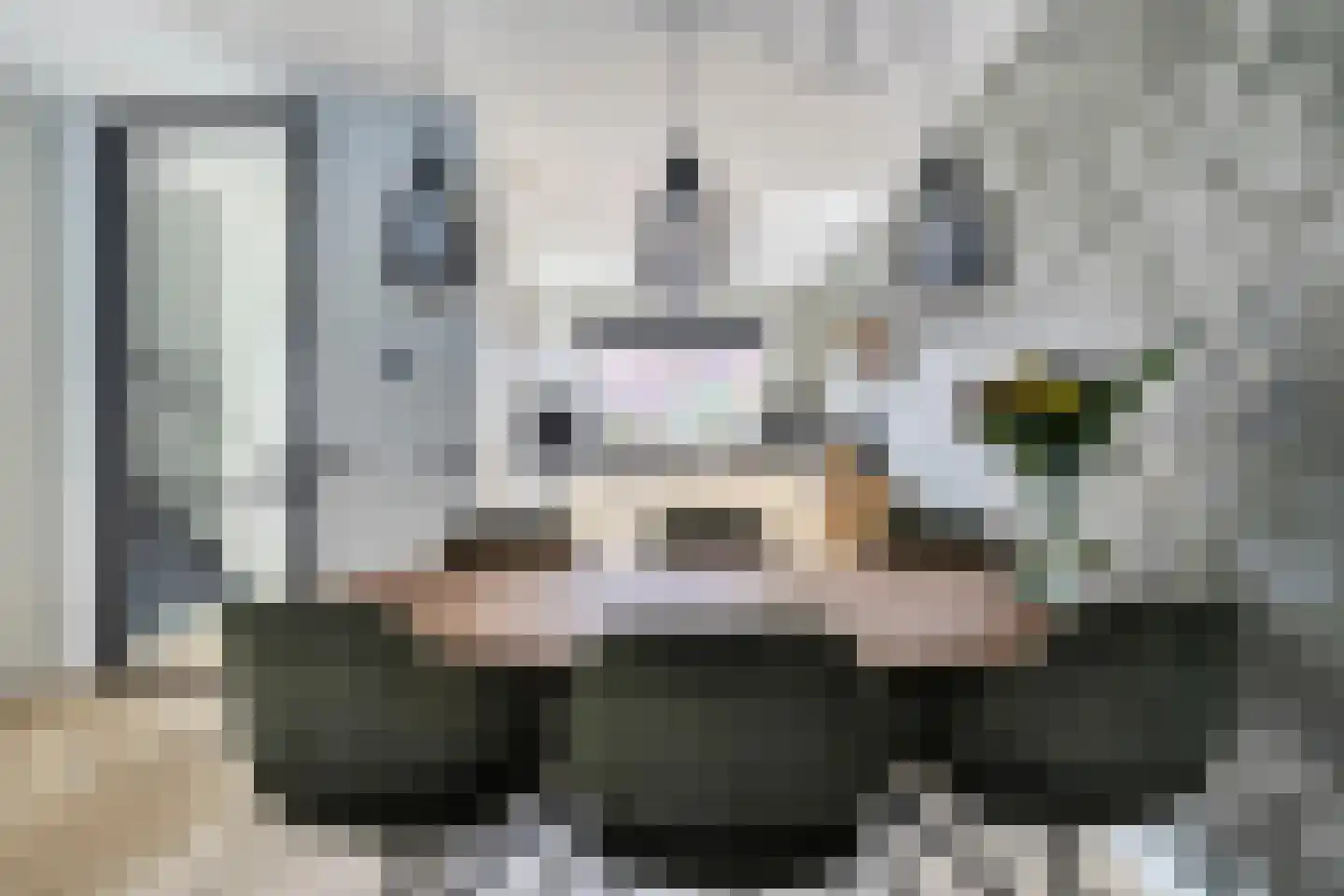 Hendrik Schoonbroodstraat 4 Maassluis thumbnail 23