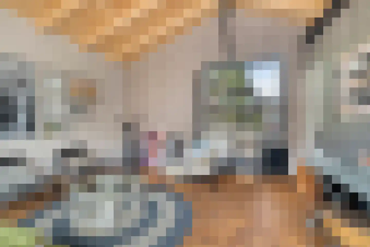 Hendrik Soeteboomstraat 15 Amsterdam thumbnail 18