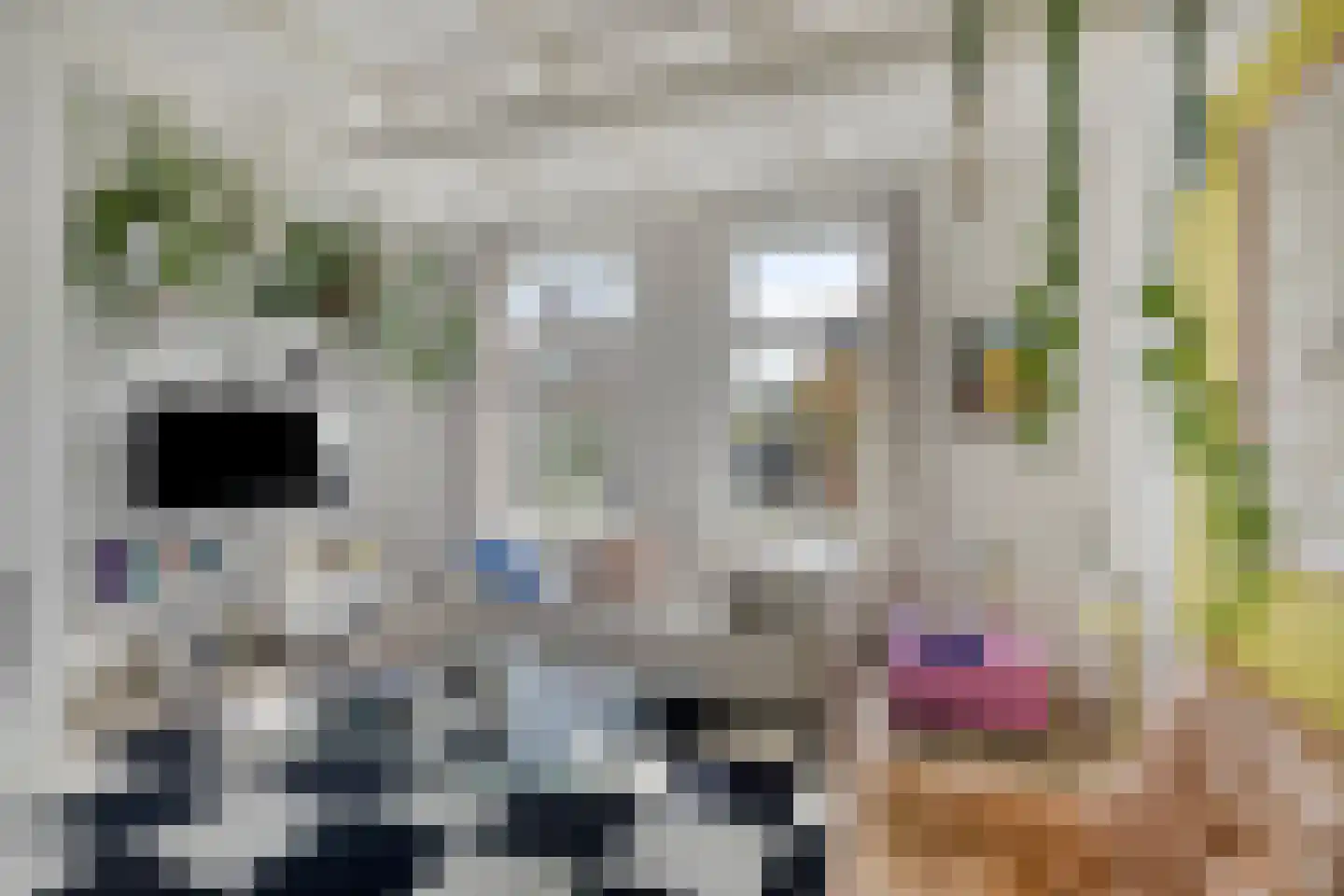 Hendrik Soeteboomstraat 15 Amsterdam thumbnail 4