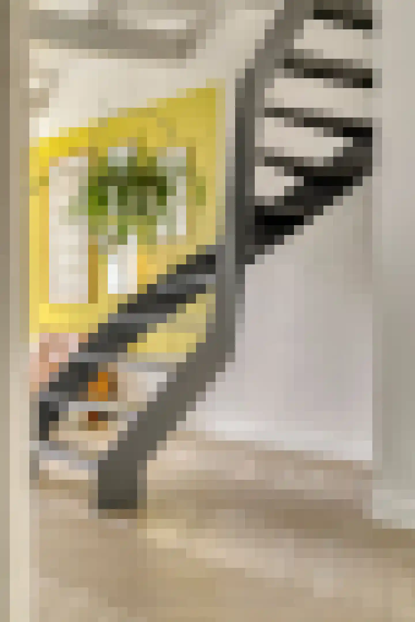 Hendrik Soeteboomstraat 15 Amsterdam thumbnail 7