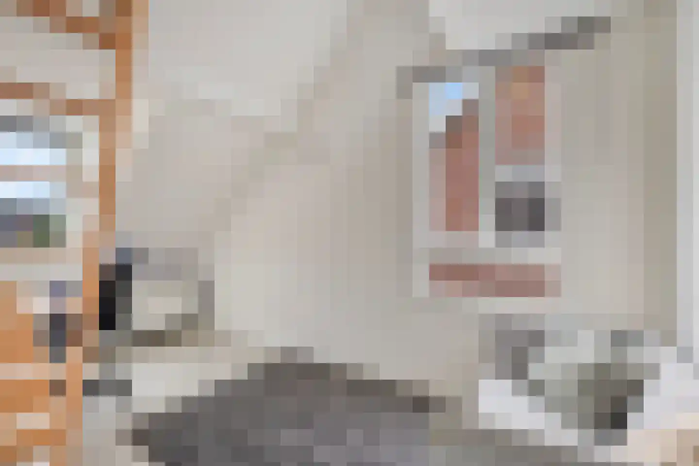 Hendrik Soeteboomstraat 17 Amsterdam thumbnail 34