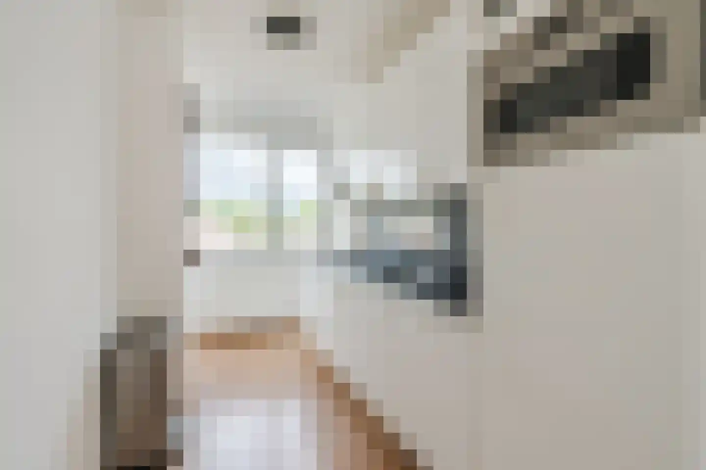 Hendrik Staetslaan 87 Eindhoven thumbnail 10