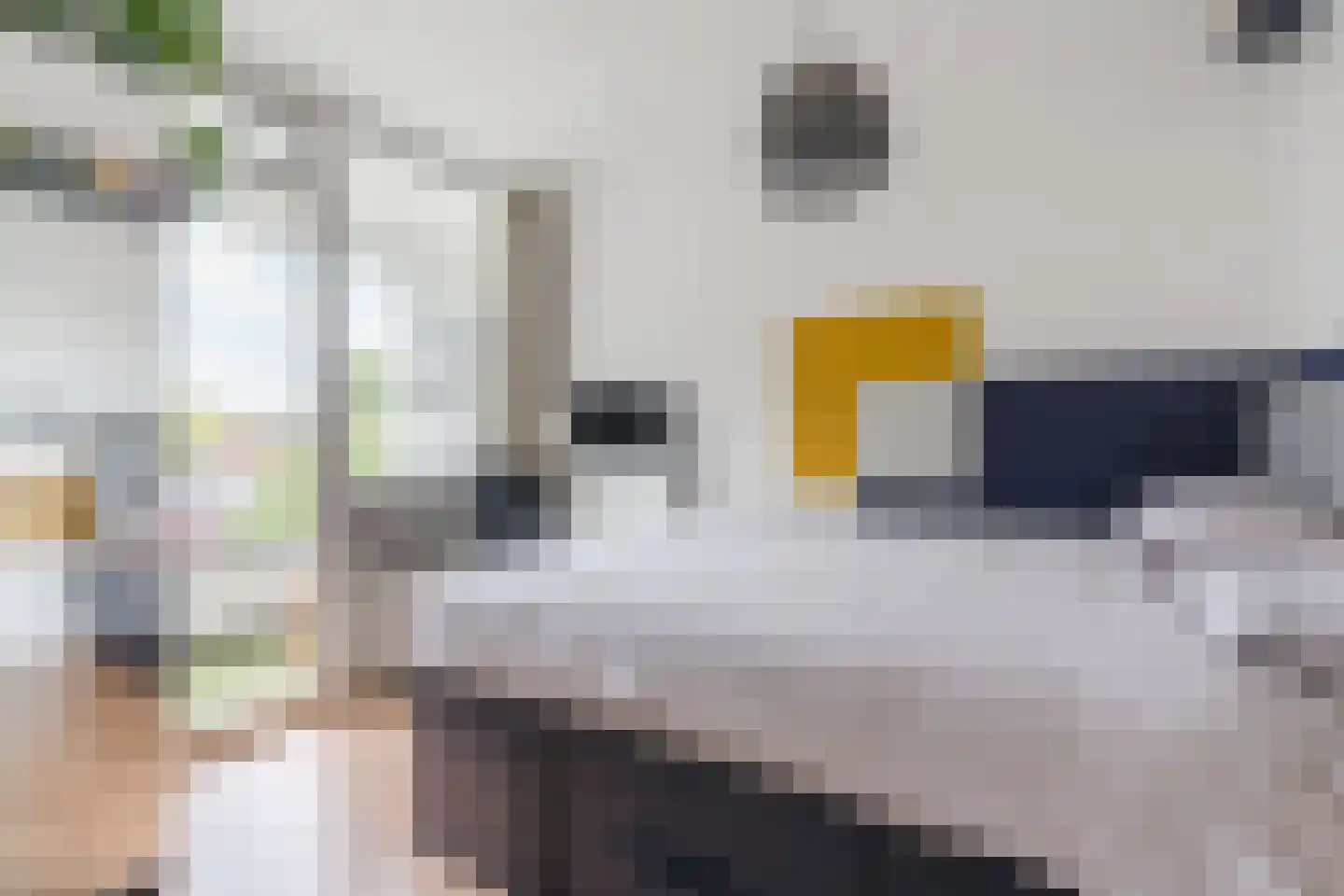 Hendrik Staetslaan 87 Eindhoven thumbnail 16