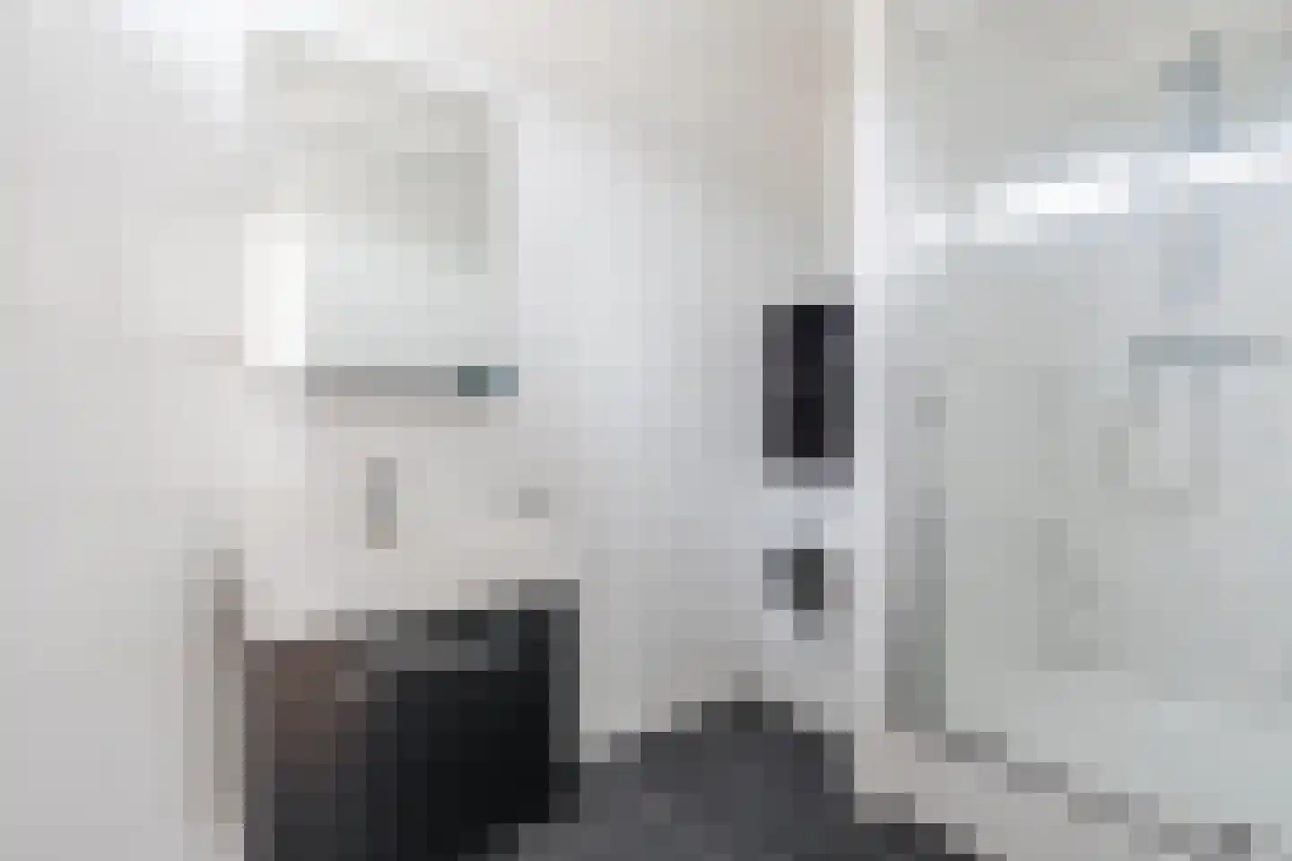 Hendrik Staetslaan 87 Eindhoven thumbnail 19