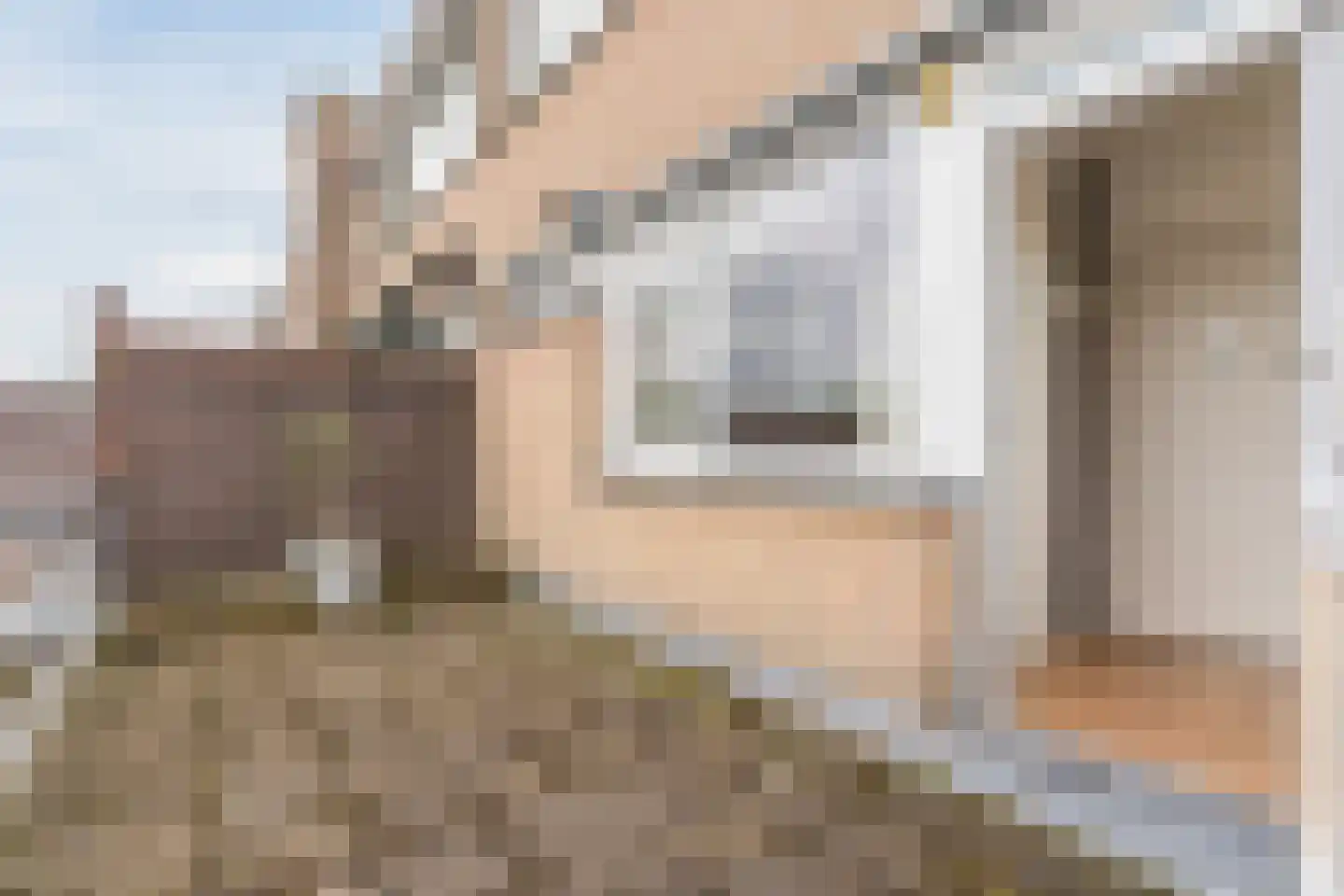 Hendrik Staetslaan 87 Eindhoven thumbnail 26