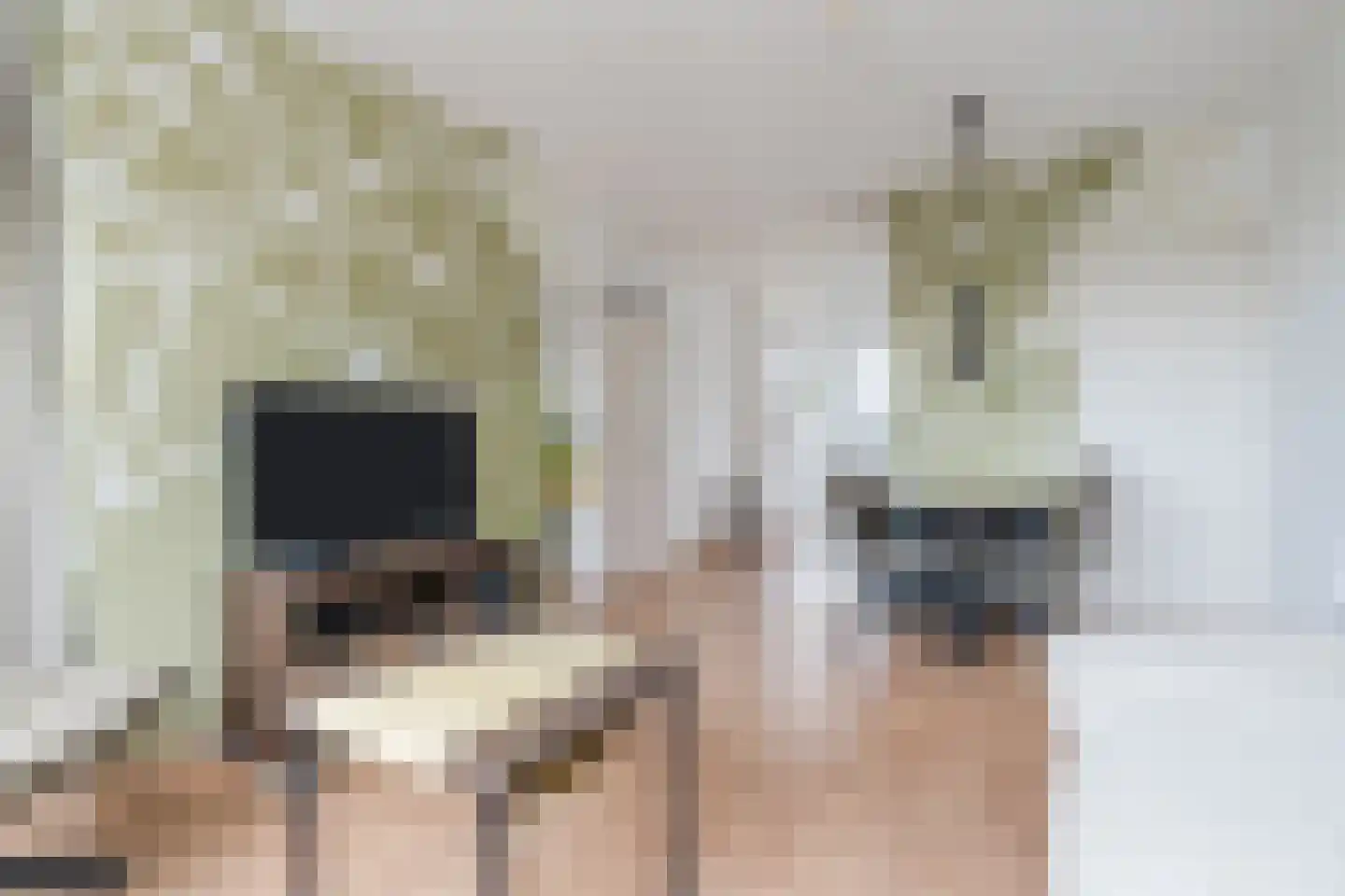 Hendrik Staetslaan 87 Eindhoven thumbnail 6