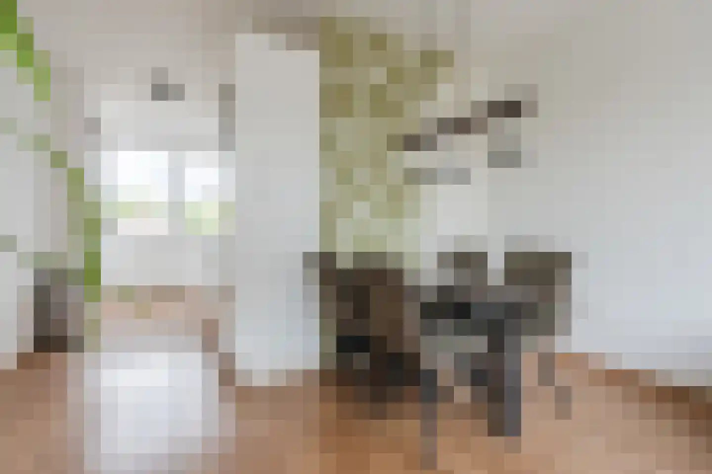 Hendrik Staetslaan 87 Eindhoven thumbnail 9