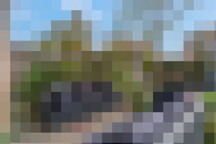 Hendrik Stafweg 23 Ede thumbnail 39