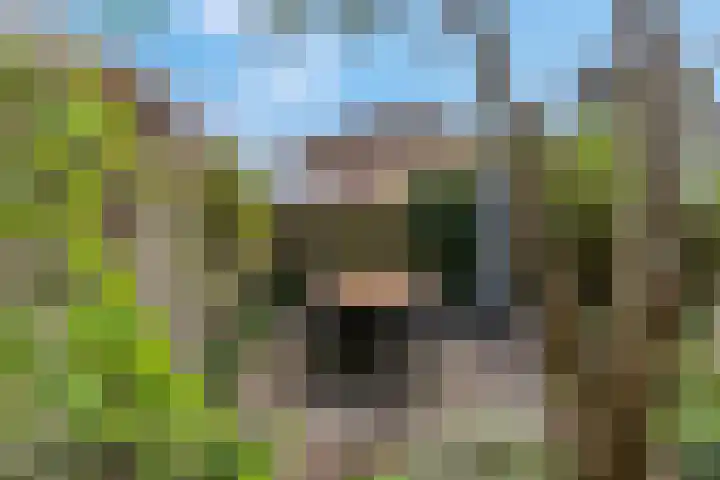 Hendrik Stafweg 23 Ede thumbnail 42