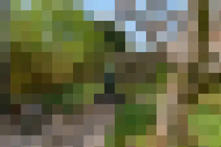 Hendrik Stafweg 23 Ede thumbnail 43