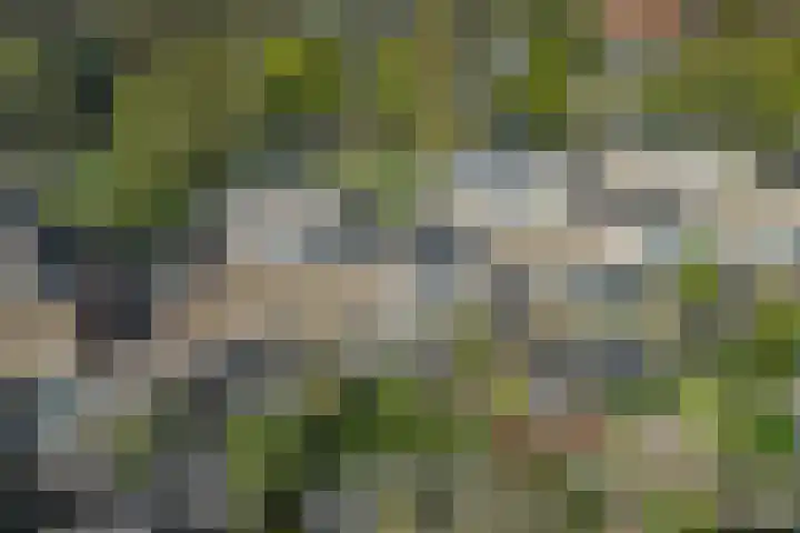Hendrik Stafweg 23 Ede thumbnail 49