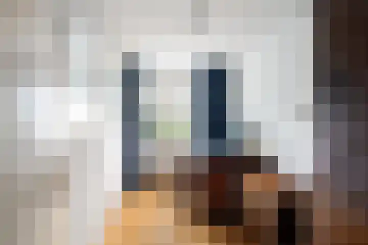 Hendrik Sweijsstraat 15 Rotterdam thumbnail 25