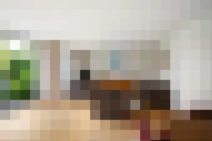 Hendrik Sweijsstraat 15 Rotterdam thumbnail 5