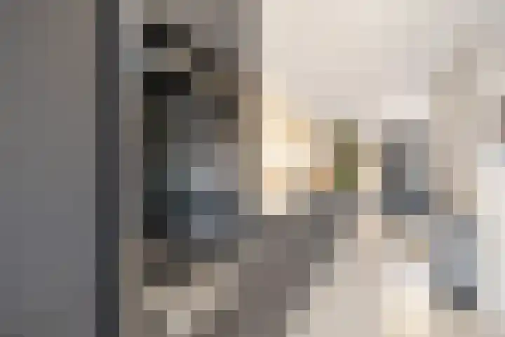 Hendrik Sweijsstraat 24 Rotterdam thumbnail 13