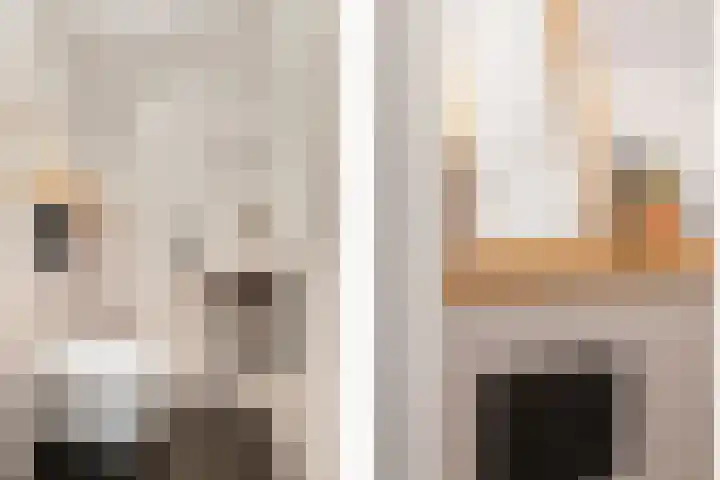 Hendrik Sweijsstraat 24 Rotterdam thumbnail 25