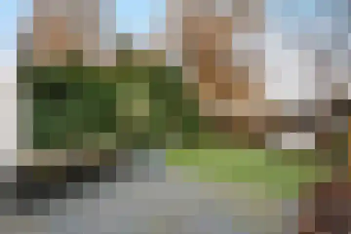 Hendrik Sweijsstraat 69 Rotterdam thumbnail 11