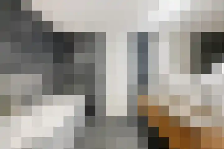 Hendrik Sweijsstraat 69 Rotterdam thumbnail 30