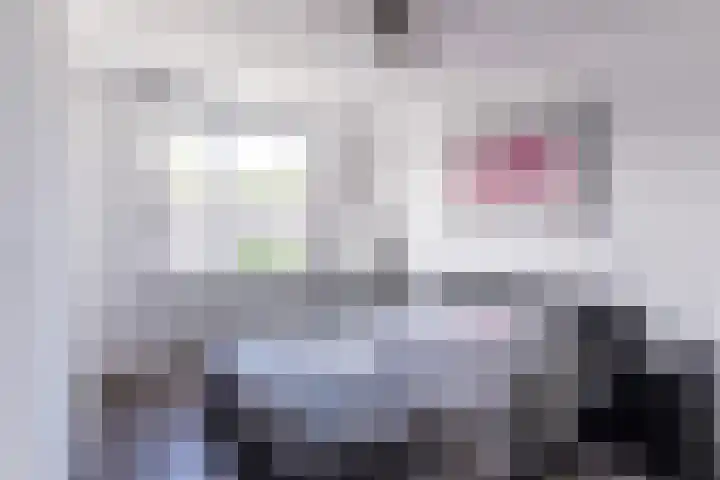 Hendrik Tollensdreef 144 Goirle thumbnail 10