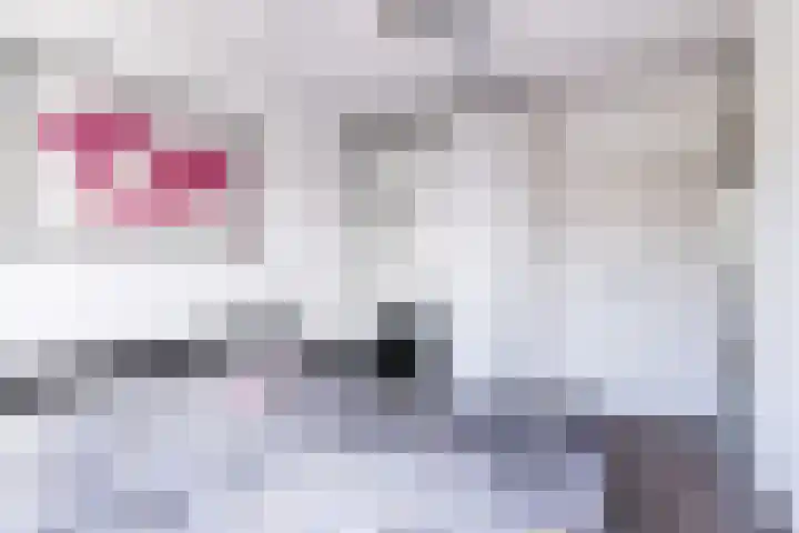 Hendrik Tollensdreef 144 Goirle thumbnail 11