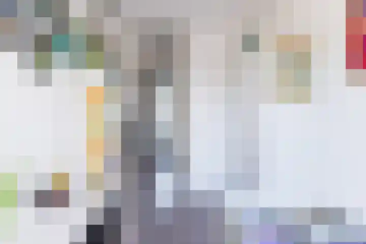 Hendrik Tollensdreef 144 Goirle thumbnail 15