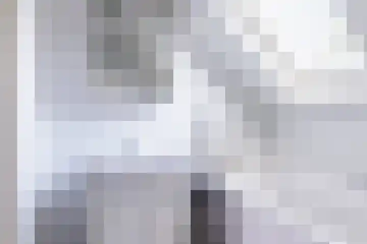 Hendrik Tollensdreef 144 Goirle thumbnail 17