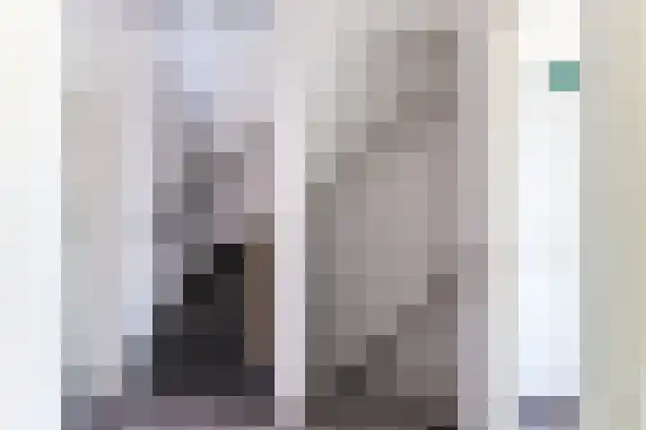 Hendrik Tollensdreef 144 Goirle thumbnail 19