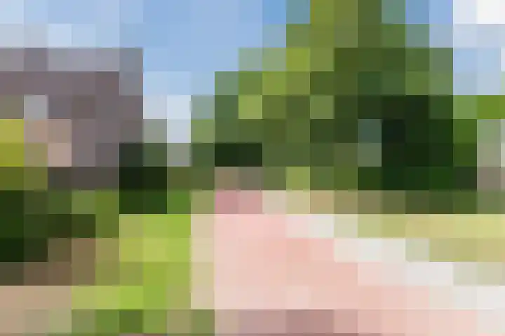 Hendrik Tollensdreef 144 Goirle thumbnail 27